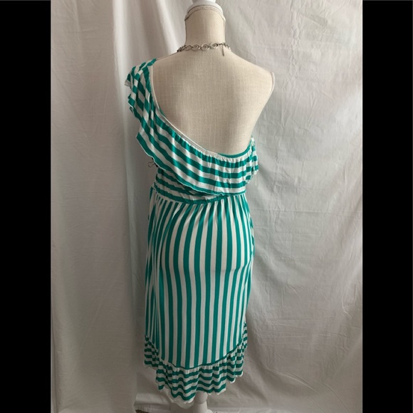 NWOT Women’s Knee Length Jade and White Striped Dress Large - Picture 3 of 10